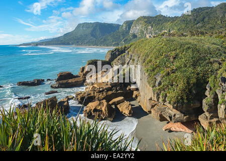 Küste, Punakaiki, Paparoa National Park, West Coast, Südinsel, Neuseeland, Pazifik Stockfoto