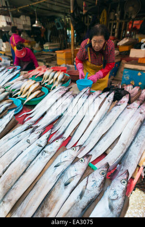 Jagalchi Fisch Markt, Busan, Südkorea, Asien Stockfoto