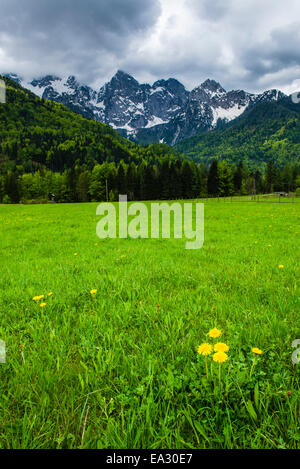 Julianischen Alpen Toren Kranjska Gora, Triglav Nationalpark, obere Krain, Slowenien, Europa Stockfoto