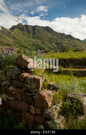 Blick vom Inka Zitadelle von Pisac Ruinen, Pisac, Heiliges Tal, Peru, Südamerika Stockfoto