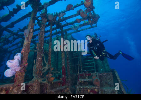 Wrack Tauchen am Wrack Hamel in die Bahamas, Karibik, Mittelamerika Stockfoto