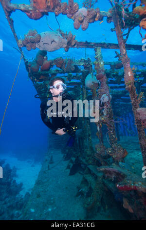 Wrack Tauchen am Wrack Hamel in die Bahamas, Karibik, Mittelamerika Stockfoto