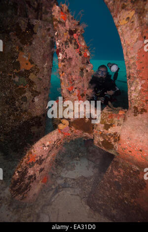 Wrack-Tauchen am Wrack Hamel in Bahamas, Westindien, Mittelamerika Stockfoto