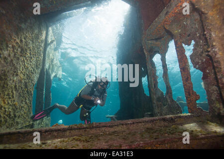 Taucher Tauchen am Wrack in der Turks And Caicos Islands, Karibik, Mittelamerika Stockfoto