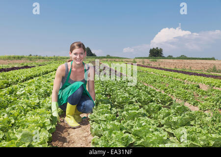 Bäuerin Kommissionierung Kopfsalat (Lactuca Sativa), Esslingen, Baden-Württemberg, Deutschland Stockfoto