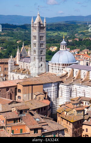 Blick auf Dom vom Torre del Mangia, UNESCO-Weltkulturerbe, Siena, Toskana, Italien, Europa Stockfoto