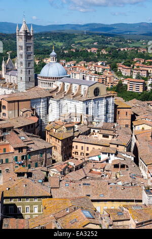 Blick auf Dom vom Torre del Mangia, Piazza del Campo, UNESCO World Heritage Site, Siena, Toskana, Italien, Europa Stockfoto