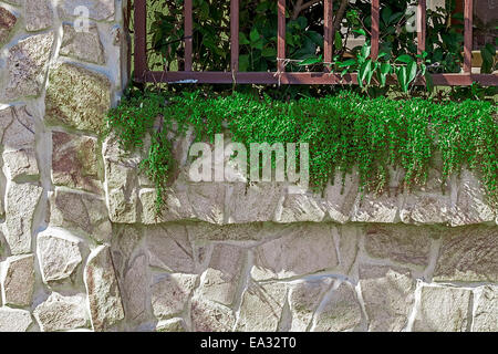 Zaun mit dekorativen Stein und Metall aus. Ziergrün. Stockfoto