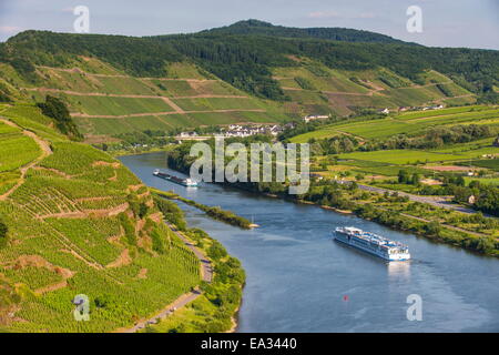 Kreuzfahrtschiff auf der Durchreise Riverbend in Bremms steilste Weinberg Lage, Moseltal, Rheinland-Pfalz, Deutschland Stockfoto