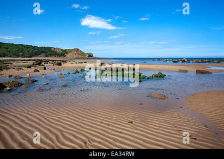 Sand, Wellen und Gezeiten Pool am Osgodby Punkt (Knipe) in Cayton Bay, Scarborough, North Yorkshire, Yorkshire, England, UK Stockfoto