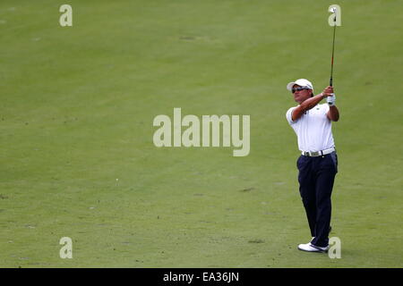 Chiba, Japan. 6. November 2014. Yusaku Miyazato Golf: HEIWA PGM Meisterschaft in Kasumigaura ersten Runde im Miho Golf Club in Chiba, Japan. © AFLO SPORT/Alamy Live-Nachrichten Stockfoto