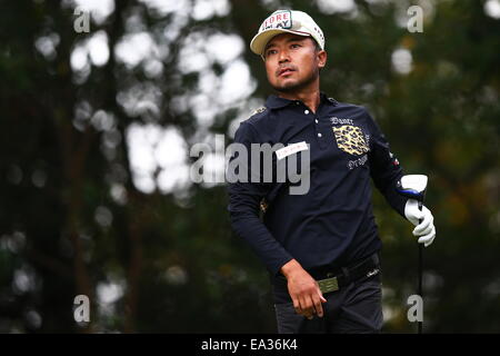 Chiba, Japan. 6. November 2014. Shingo Katayama Golf: HEIWA PGM Meisterschaft in Kasumigaura ersten Runde im Miho Golf Club in Chiba, Japan. © AFLO SPORT/Alamy Live-Nachrichten Stockfoto