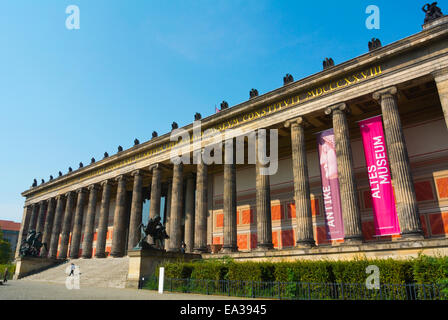 Altes Museum, Museumsinsel, der Museumsinsel, Bezirk Mitte, Berlin, Deutschland Stockfoto