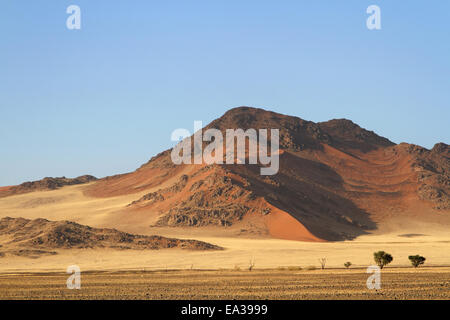 Sanddünen von Sossusvlei Stockfoto