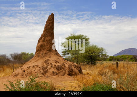 Termite Mound Stockfoto