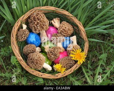 Osterkorb mit Eiern und Morcheln Stockfoto