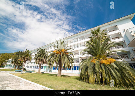 Palmen, Gagra, Abchasien Stockfoto