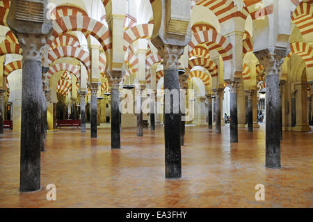 Moschee, Moschee, Kathedrale, Cordoba, Spanien Stockfoto