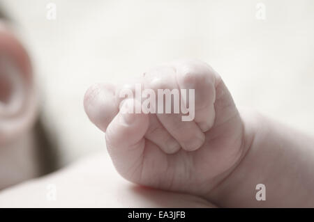 Süße kleine Baby Close Up Stockfoto