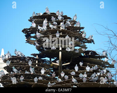 Baum der Erinnerung Kunstwerk in Piccadilly Gardens, Rastplatz für viele Tauben in Manchester UK Stockfoto