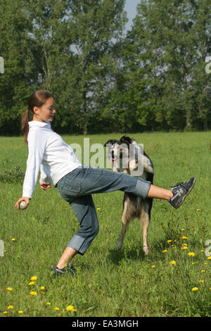 Hund springt über Bein Stockfoto