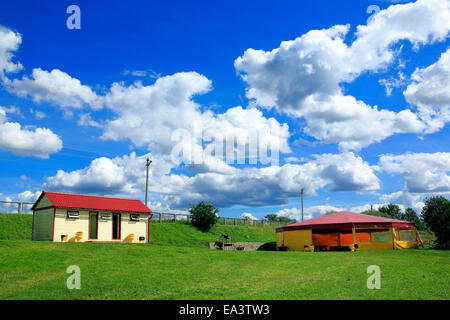 Open-Air-Café auf der grünen Wiese, Gebiet Moskau, Russland Stockfoto