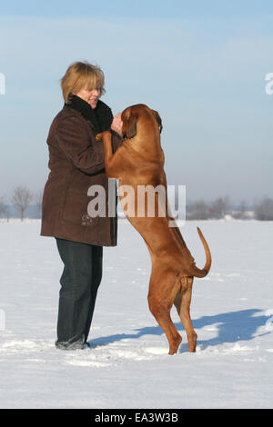 Frau mit Rhodesian Ridgeback Stockfoto