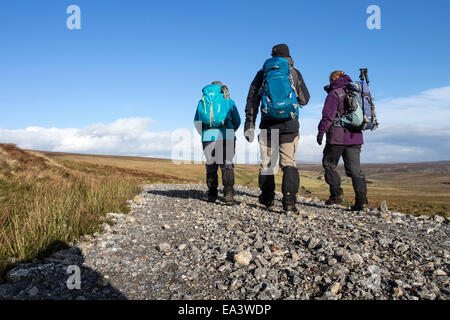 Wanderer auf einer Fahrzeug-Spur erstellt in einem wilden Moor Einstellung auf Grouse Moor in Birkdale, Teesdale County Durham UK Stockfoto