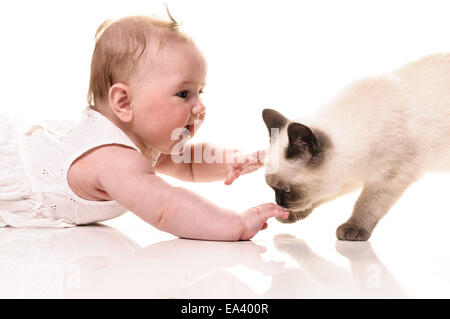 Baby mit Kätzchen Stockfoto