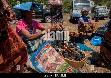 Frauen aus Lamalera nehmen mit ihrem getrockneten Walfleisch an einem Tauschmarkt in Lembata Island, Indonesien, Teil. Stockfoto