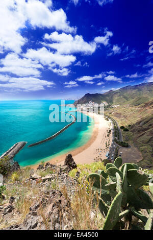 Playa de Las Teresitas Gesamtansicht vertikale Stockfoto