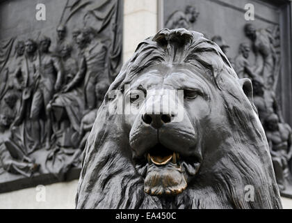 Die Statue eines Löwen, Trafalgar Square, London, UK. Stockfoto
