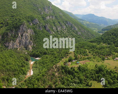 Tara-Schlucht in Montenegro Stockfoto