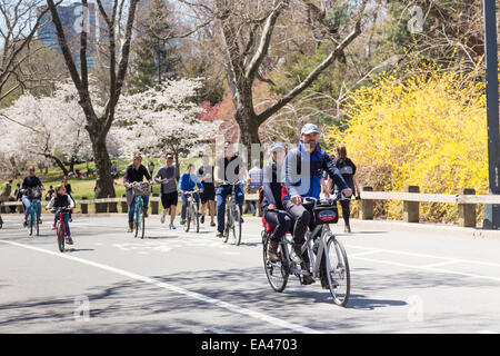 Fahrrad Weg, Frühling, Central Park, New York, USA Stockfoto