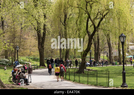 Menschen, die genießen Central Park im Frühling, NYC Stockfoto