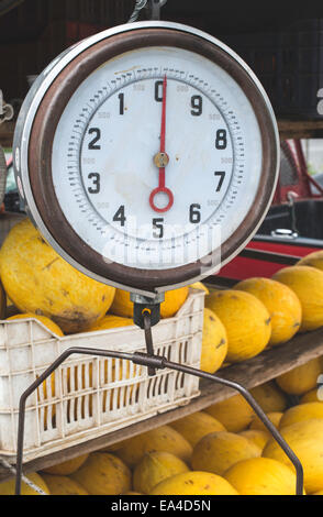 Melonen auf dem Markt zu verkaufen. Waage mit Gewichten Stockfoto