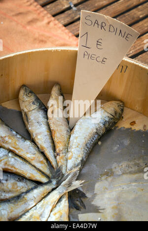 Sardinen auf Verkauf zu einem lokalen französischen Markt. Stockfoto