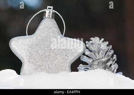 Silberne Weihnachts-Dekoration mit Stern und Kegel im Schnee Stockfoto