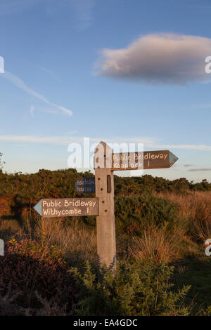 Hölzerne Maultierweg Wegweiser auf Exmoor gebadet in der späten Nachmittagssonne. Stockfoto