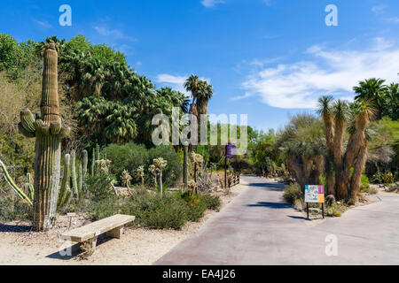 Living Desert Zoo und Gärten, Palm Desert, Riverside County, Süd-Kalifornien, USA Stockfoto