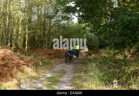 Westleton Heide, Radfahren Stockfoto