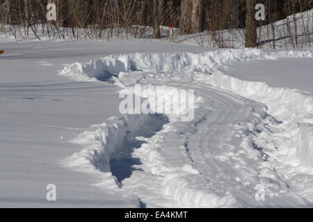 Große LKW-Reifen tracks durch den dicken Schnee von einem kleinen Waldgebiet. Stockfoto