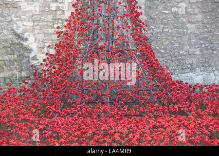 Tower of London, UK. 6. November 2014. Kunst Installation Blut Mehrfrequenzdarstellung Länder und Meere von rot an der Tower of London, trat Mark 100 Jahre seit der britischen des ersten Weltkrieges. 888.246 Keramik Mohnblumen füllt den Turm Graben durch Waffenstillstand am 11. November. Jede Mohn repräsentiert einen britischen militärischen Todesfall während des Krieges. Bildnachweis: Geoff Shaw/Alamy Live-Nachrichten Stockfoto