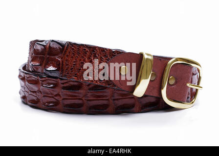 Krokodil Ledergürtel auf weißem Hintergrund Stockfoto