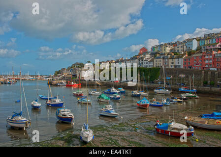 Hafen von Brixham, Torbay, Devon, Südwest-England, Uk. Stockfoto