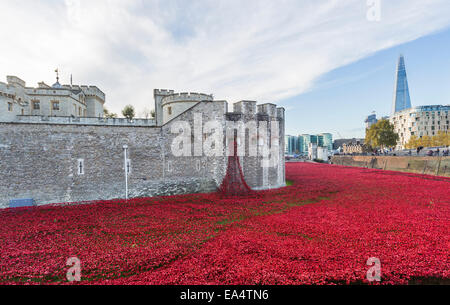 Rote Keramik Mohnblumen Kaskadierung vom Fenster weinend am Tower von London erinnert, Blut Mehrfrequenzdarstellung Länder und Meere von Red Stockfoto