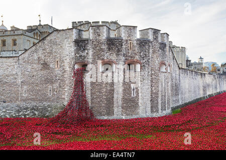 Rote Keramik Mohnblumen Kaskadierung vom Fenster weinend am Tower von London erinnert, Blut Mehrfrequenzdarstellung Länder und Meere von Red Stockfoto