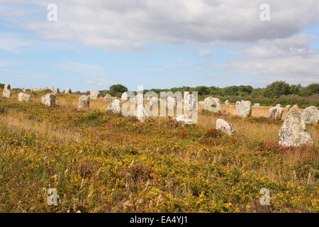 Menhir Ausrichtungen von Menec in der Nähe von Carnac Frankreich Stockfoto