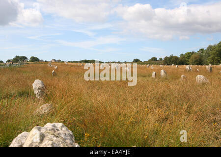 Menhir Ausrichtungen von Menec in der Nähe von Carnac Frankreich Stockfoto