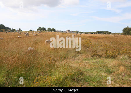 Menhir Ausrichtungen von Menec in der Nähe von Carnac Frankreich Stockfoto